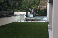 Backyard_Pool 4