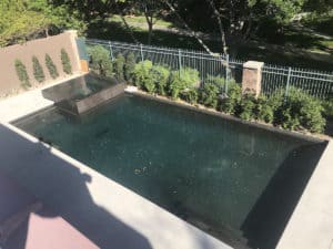 New Pool